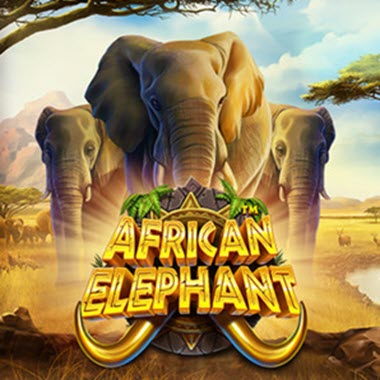African Elephant Pokie Review